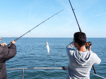 Balık Avlarken Dikkat Edilmesi Gerekenler