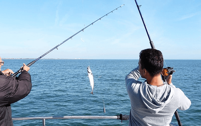 Balık Avlarken Dikkat Edilmesi Gerekenler